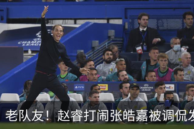 老队友！赵睿"打闹"张皓嘉被调侃发型 布朗陈盈骏崔永熙焦泊乔合照留念